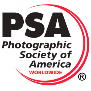 Amerika Fotoqrafiya Cəmiyyəti